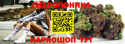МДПВ Гагарин