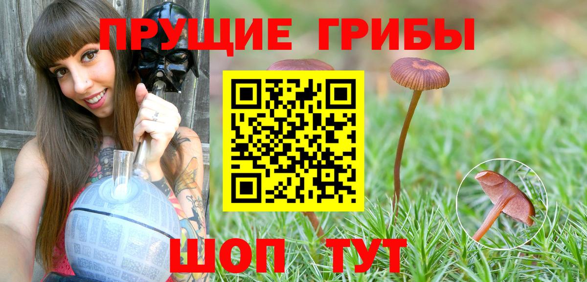 Галлюциногенные грибы ЛСД  Псилоцибиновые грибы Cubensis  Вход с VPN  Назрань 